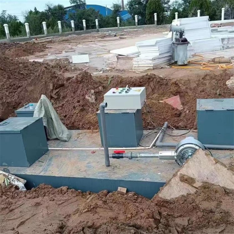 雨水收集：古老智慧在现代社会的重生